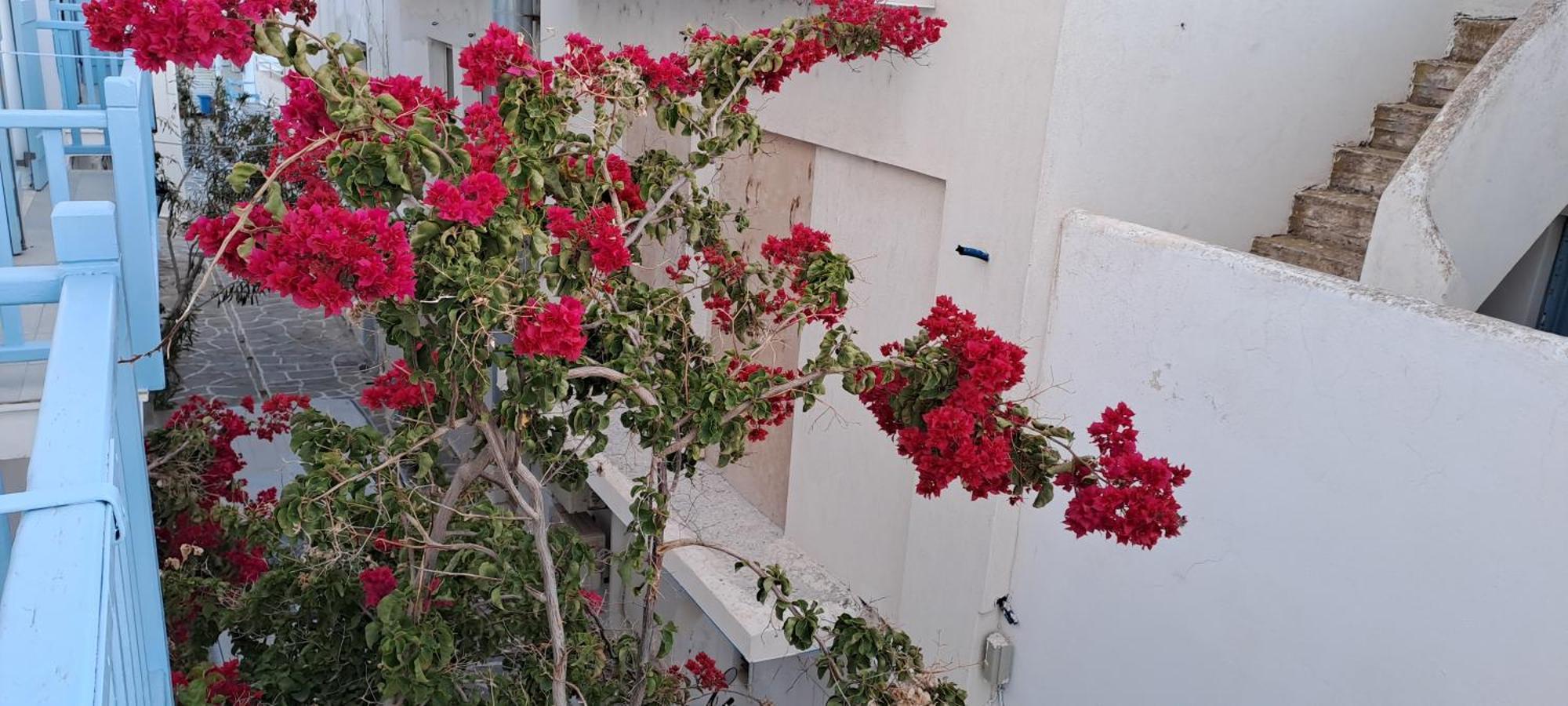 Dinas Inn Piso Livadi Exterior photo